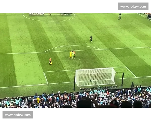 有一种情感叫球迷，世界杯让它淋漓尽致！